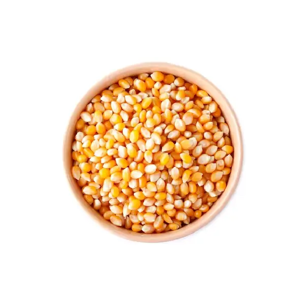 دانه ذرت خام پاپ کورنی