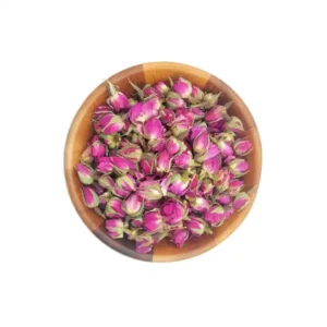 غنچه گل محمدی