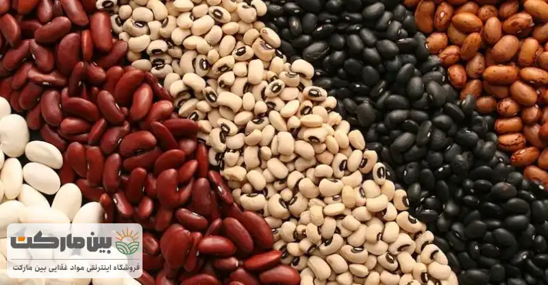 کدام لوبیا پروتئین بیشتری دارد