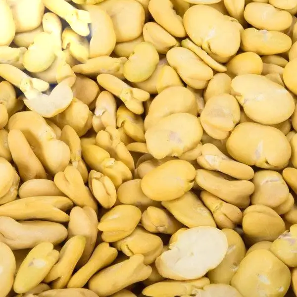 خرید لپه باقالا زرد